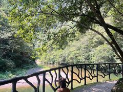 -龙湾潭国家森林公园