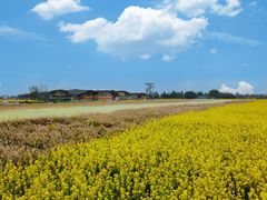 -中国天府农业博览园