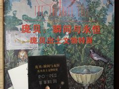 -盘龙城国家考古遗址公园