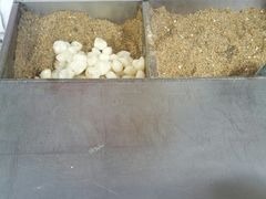 -叶氏麻糍(鼓浪屿店)