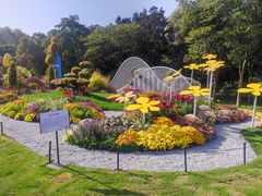 -上海共青森林公园