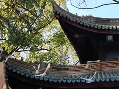 -无锡梅园公园
