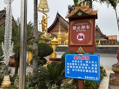 -西双版纳傣族园