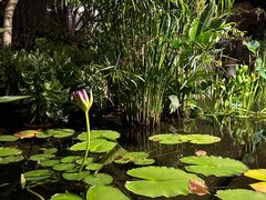 -肴约·花园式餐厅(湖里店)
