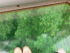 -广州长隆野生动物世界