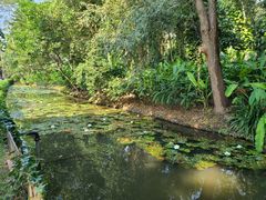 -中国科学院西双版纳热带植物园
