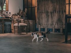 -喜洲吧·江畔老船厂·庭院餐厅(喜临院店)