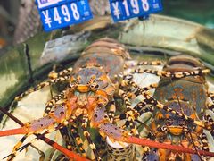 -强记海鲜·大排档(蛇口新街店)
