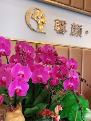 -佛山艺美医疗美容·整形·美肤·塑形