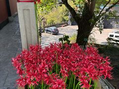 -丰都鬼城名山景区