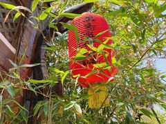 -慢丽江·云南野生菌土鸡锅(付家庄店)
