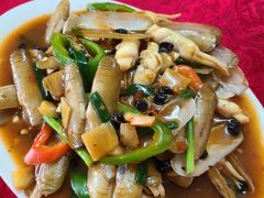 -蛇口康乐快餐鱼仔档(翠苑小区店)
