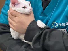 -美迦爱-牙专科·兔科·骨科诊疗中心(北苑店)