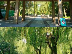-柳浪闻莺公园