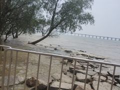 -宝安西湾红树林湿地公园