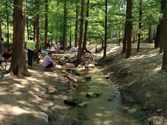 -白水寺森林公园