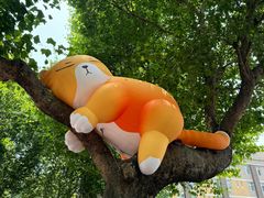 -西安电影制片厂