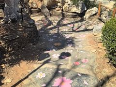 -天毓山庄·餐厅