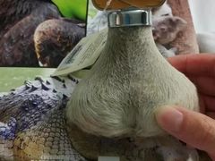 -可伦宾野生动物保护区