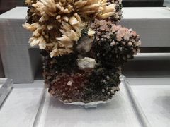 -湖南省地质博物馆