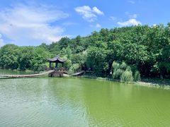 -天目湖山水园