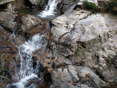 -九龙江国家森林公园