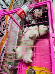 -莱恩·乐活概念专业皮肤管理连锁