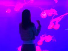 -多彩贵州城极地海洋世界