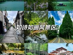 -宜兴龙背山森林公园