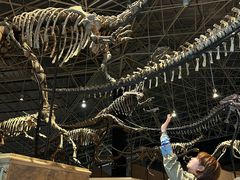 -世界恐龙谷景区