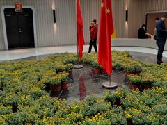 -保定金棕榈先天下国际影城(LUXE)