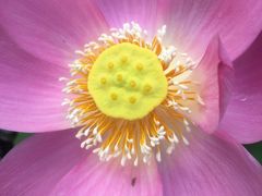 -龙环葡韵住宅式博物馆