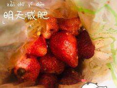 -雪儿钱局泡菜
