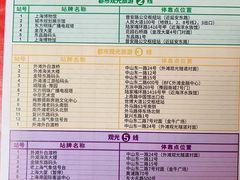 -BUS TOUR观光巴士