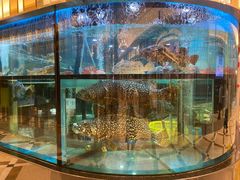大堂-金翠皇宫粤菜·点心·海鲜(科技园店)