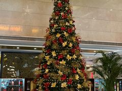 -北京西国贸大酒店