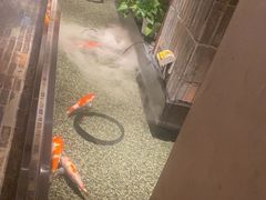 -0776食堂·京城创意菜(七里庄店)