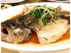 清蒸鲈鱼-诚如金·南宁本地菜(信息港店)