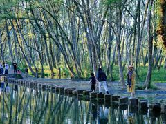 -揭东万竹园旅游景区