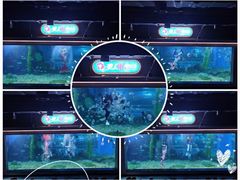 -顺德南宏海立方海洋公园