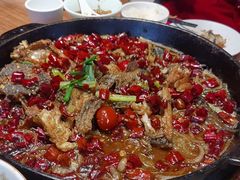 -老板恋上鱼(恒隆广场店)