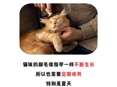 -北京京卫宠物寄养训练中心