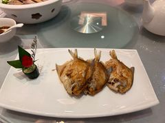 -悦林汤馆(观海店)