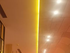 -金掌勺锅包肉(太原万达店)