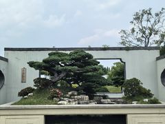 -扬州大运河文化旅游度假区·盆景园