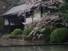 -东京国立博物馆法隆寺宝物馆