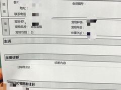 -瑞派先诺宠物医院•猫专科•普外科•中兽医(佛山院)