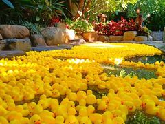 -厦门日月谷温泉渡假村