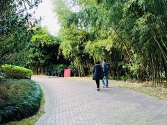 -苏州河梦清园环保主题公园