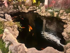 -鲤院·新中式美学·庭院餐厅(夫子庙店)